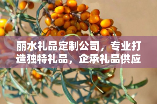 丽水礼品定制公司，专业打造独特礼品，企承礼品供应链卓越服务