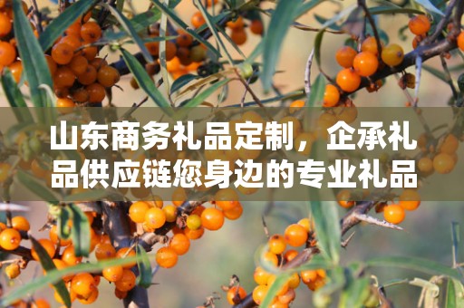 山东商务礼品定制，企承礼品供应链您身边的专业礼品定制公司