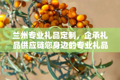 兰州专业礼品定制，企承礼品供应链您身边的专业礼品定制公司