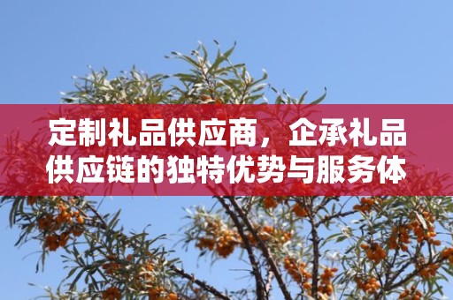 定制礼品供应商，企承礼品供应链的独特优势与服务体验